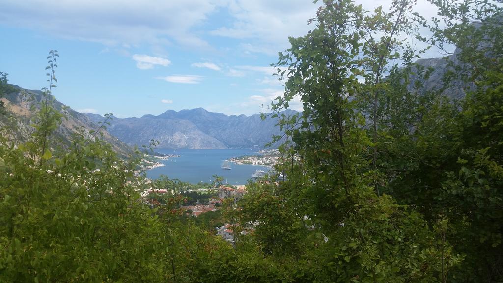 Apartments Panoramic Paradise Котор Екстериор снимка